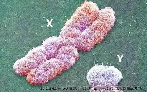 45岁高龄、内膜薄、试管失败后：如何提高成功率？
