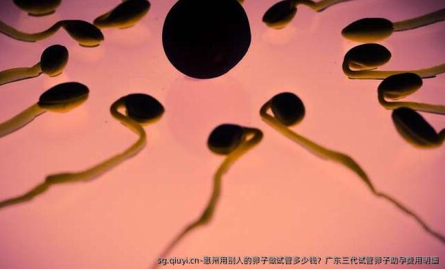 惠州用特卵做试管多少钱？广东三特需助孕费用明细
