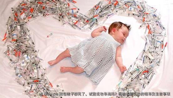 所有精子都死了。试管成功率高吗？死精试管成功的概率及注意事项