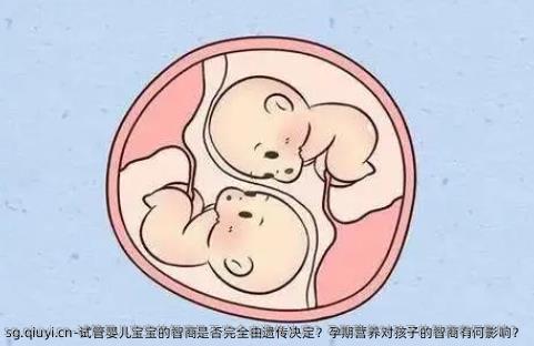 试管婴儿宝宝的智商是否完全由遗传决定？孕期营养对孩子的智商有何影响？