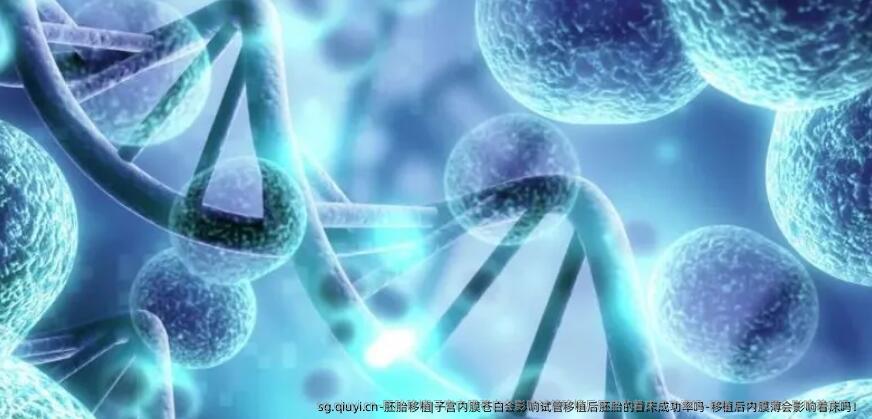 胚胎移植|子宫内膜苍白会影响试管移植后胚胎的着床成功率吗-移植后内膜薄会影响着床吗！