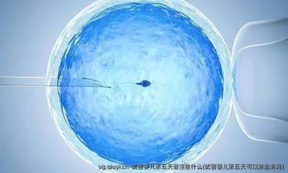 试管婴儿第五天要注意什么(试管婴儿第五天可以测出来吗)