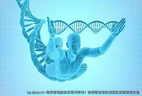 输卵管梗阻做试管有用吗？输卵管堵塞的原因及试管解决方案