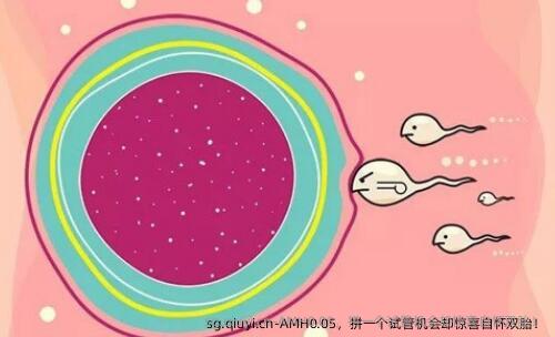 AMH0.05，拼一个试管机会却惊喜自怀双胎！