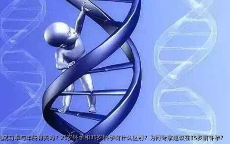 试管婴儿成功率与年龄有关吗？25岁怀孕和35岁怀孕有什么区别？为何专家建议在35岁前怀孕？
