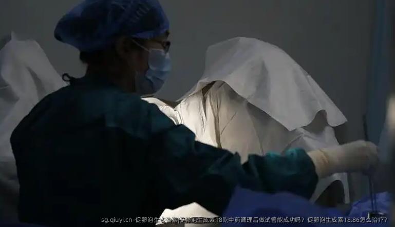 促卵泡生成激素|促卵泡生成素18吃中药调理后做试管能成功吗？促卵泡生成素18.86怎么治疗？