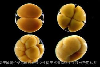单身精子试管价格高吗？未婚女性精子试管助孕全过程总费用参考