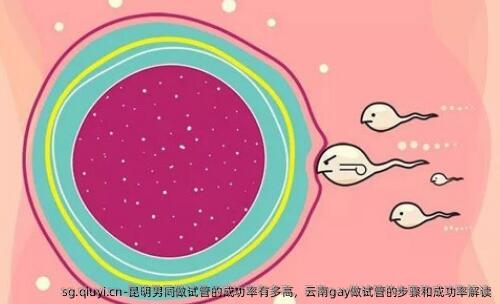 昆明**做试管的成功率有多高，云南**做试管的步骤和成功率解读