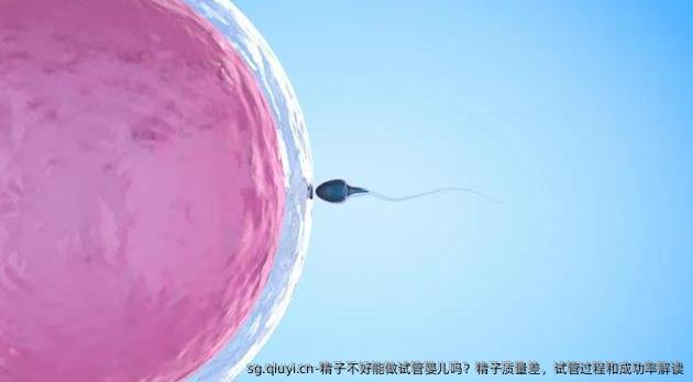 精子不好能做试管婴儿吗？精子质量差，试管过程和成功率解读