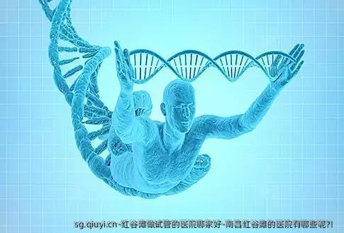红谷滩做试管的医院哪家好-南昌红谷滩的医院有哪些呢?！