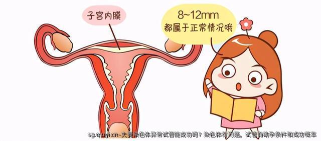 夫妻染色体异常试管能成功吗？染色体有问题。试管有助孕条件和成功概率