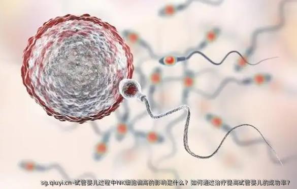 试管婴儿过程中NK细胞偏高的影响是什么？如何通过治疗提高试管婴儿的成功率？