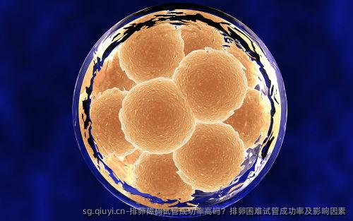 排卵障碍试管成功率高吗？排卵困难试管成功率及影响因素
