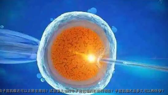 有子宫肌瘤还可以正常生育吗？试管婴儿治疗中子宫肌瘤的影响有哪些？子宫肌瘤术后多久可以再怀孕？