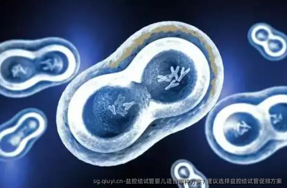 盆腔结试管婴儿适合哪种方案？建议选择盆腔结试管促排方案