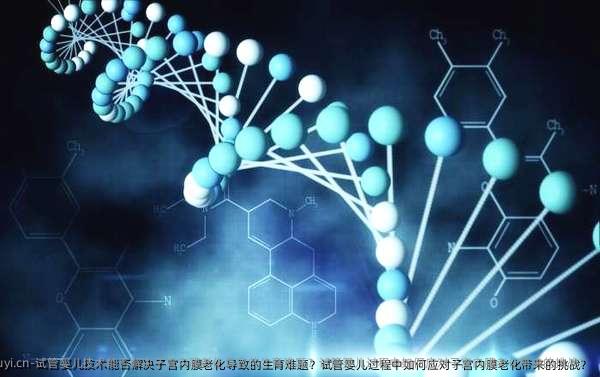 试管婴儿技术能否解决子宫内膜老化导致的生育难题？试管婴儿过程中如何应对子宫内膜老化带来的挑战？