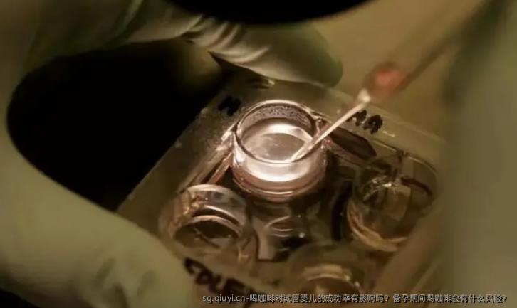 喝咖啡对试管婴儿的成功率有影响吗？备孕期间喝咖啡会有什么风险？