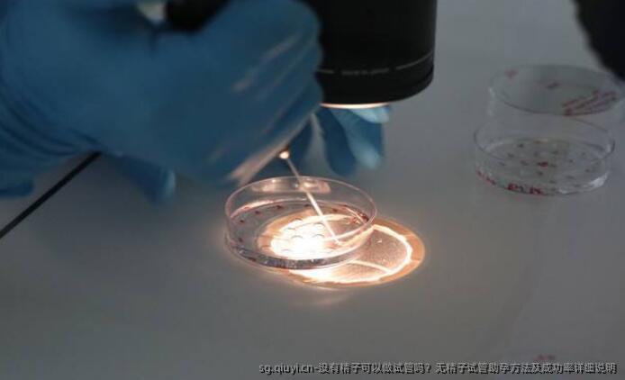 没有精子可以做试管吗？无精子试管助孕方法及成功率详细说明