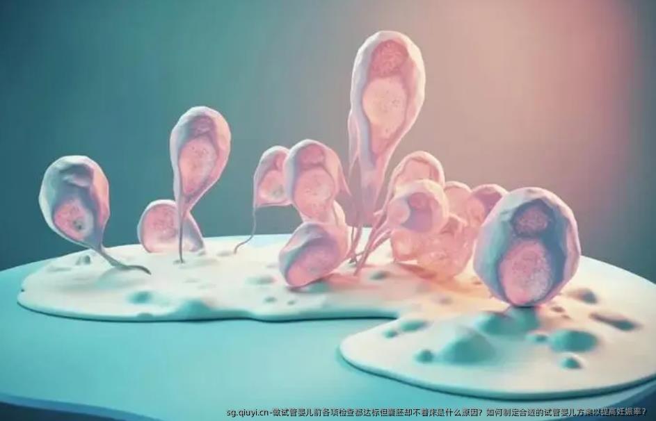 做试管婴儿前各项检查都达标但囊胚却不着床是什么原因？如何制定合适的试管婴儿方案以提高妊娠率？