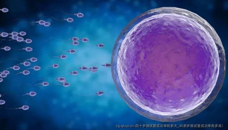四十岁做试管成功率有多大_40多岁做试管成功率有多高！