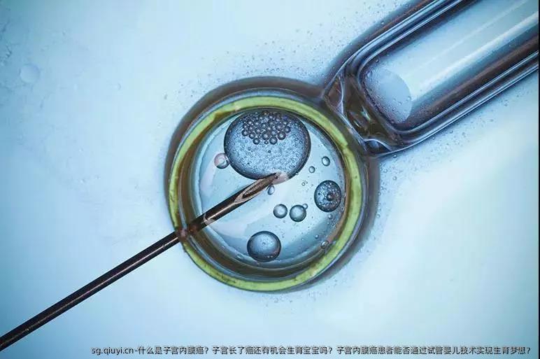 什么是子宫内膜癌？子宫长了癌还有机会生育宝宝吗？子宫内膜癌患者能否通过试管婴儿技术实现生育梦想？