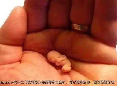 杭州三代试管婴儿生育费用全解析：详尽费用清单，助您预算无忧