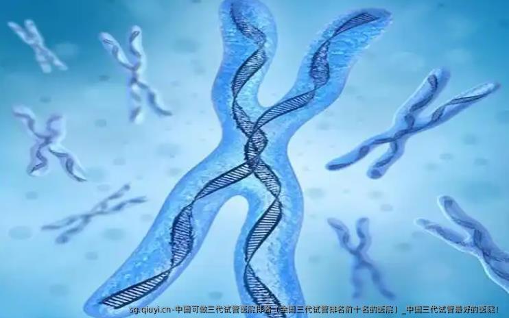 国内可做三代试管医院排名（国内三代试管排名前十名的医院）_国内三代试管较好的医院！