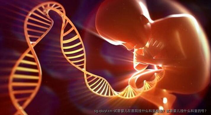 试管婴儿在医院挂什么科室检查？试管婴儿挂什么科室的号？