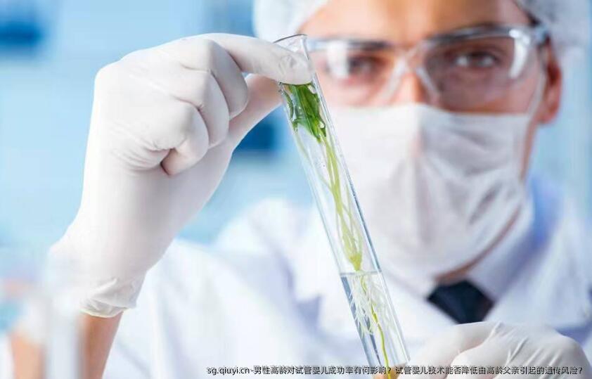 男性高龄对试管婴儿成功率有何影响？试管婴儿技术能否降低由高龄父亲引起的遗传风险？