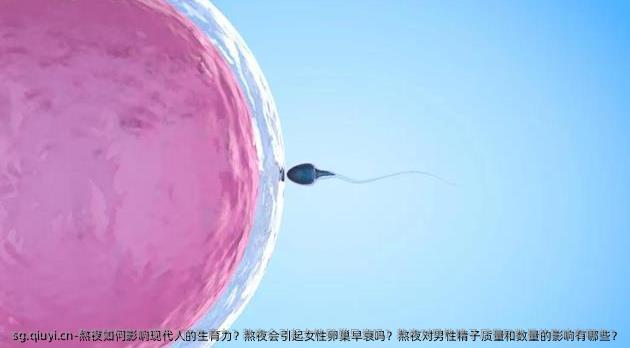 熬夜如何影响现代人的生育力？熬夜会引起女性卵巢早衰吗？熬夜对男性精子质量和数量的影响有哪些？