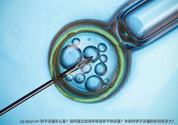 卵子质量怎么看？如何通过自测来知道卵子的质量？年龄对卵子质量的影响有多大？