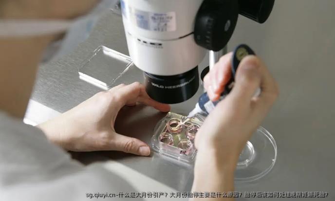 什么是大月份引产？大月份胎停主要是什么原因？胎停后该如何处理晚期妊娠死胎？