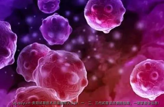 贵阳试管技术详细费用大公开：一、二、三代试管详尽费用指南，一键掌握全信息！