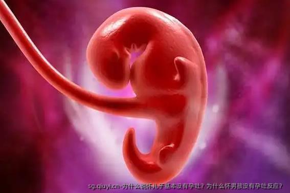 为什么说怀孩子基本没有孕吐？为什么怀男孩没有孕吐反应？