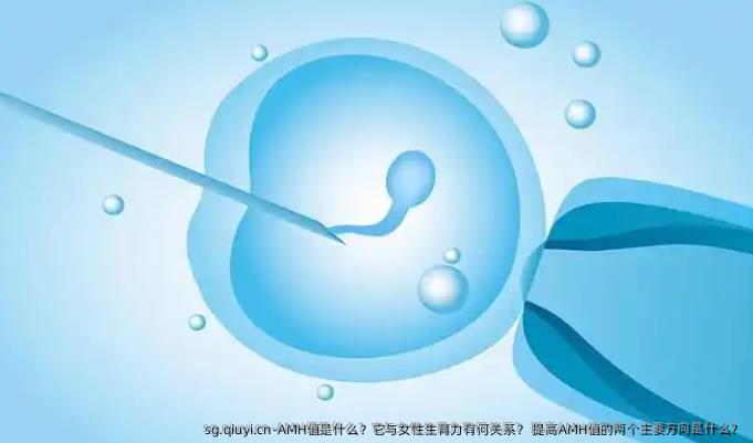 AMH值是什么？它与女性生育力有何关系？ 提高AMH值的两个主要方向是什么？