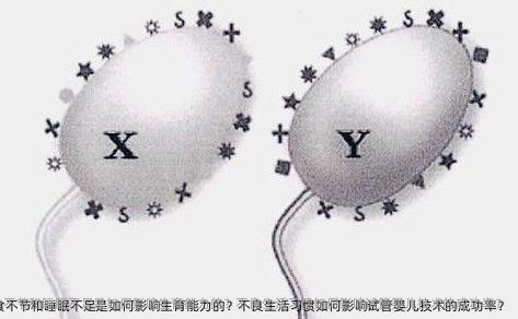 饮食不节和睡眠不足是如何影响生育能力的？不良生活习惯如何影响试管婴儿技术的成功率？