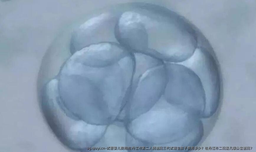 试管婴儿费用|牡丹江市第二人民医院三代试管生孩子费用多少？牡丹江市二院是几级公立医院？