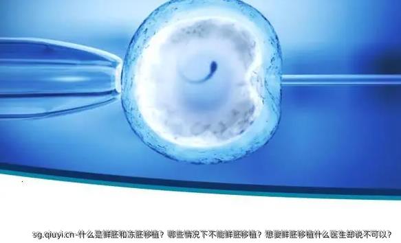 什么是鲜胚和冻胚移植？哪些情况下不能鲜胚移植？想要鲜胚移植什么医生却说不可以？