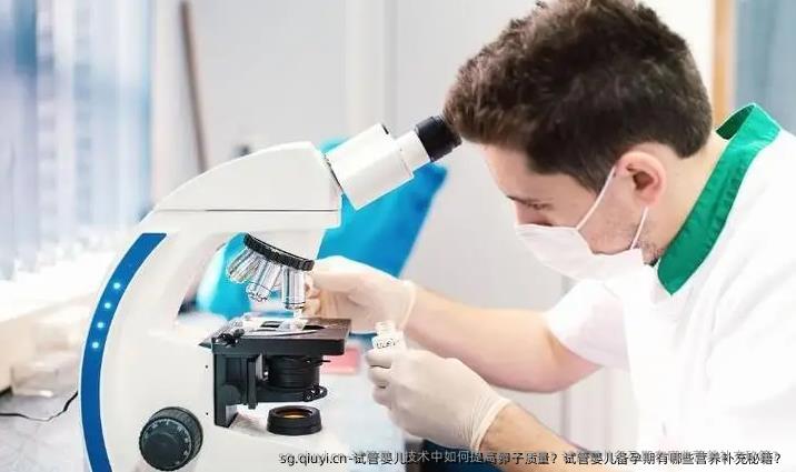 试管婴儿技术中如何提高卵子质量？试管婴儿备孕期有哪些营养补充秘籍？