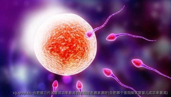 合肥做三代试管成功率最高的医院排名哪家较好(合肥哪个医院做试管婴儿成功率最高)