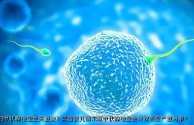 甲状腺素都有什么作用？为什么试管婴儿前的甲状腺检查至关重要？试管婴儿前未做甲状腺检查会导致哪些严重后果？