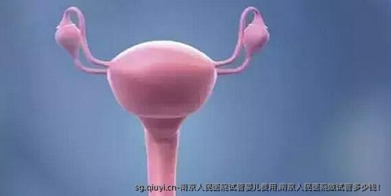 南京人民医院试管婴儿费用,南京人民医院做试管多少钱！