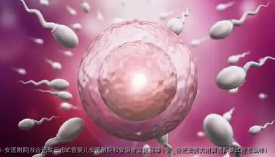 安医附院|在合肥做三代试管婴儿安医附院和安徽省立医院哪个好_合肥安医大附属医院做试管怎么样！