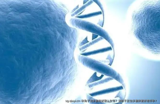 单角子宫多囊能试管么女性？单角子宫加多囊卵巢好难怀孕？