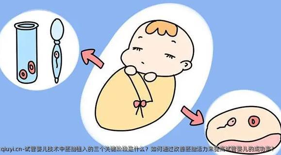 试管婴儿技术中胚胎植入的三个关键阶段是什么？如何通过改善胚胎活力来提高试管婴儿的成功率？