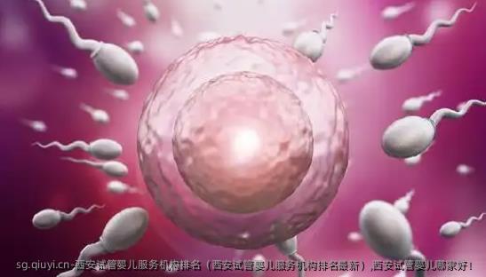 西安试管婴儿服务机构排名（西安试管婴儿服务机构排名最新）,西安试管婴儿哪家好！