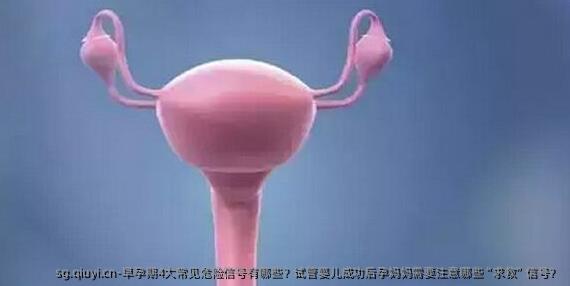 早孕期4大常见危险信号有哪些？试管婴儿成功后准妈妈妈需要注意哪些“求救”信号？