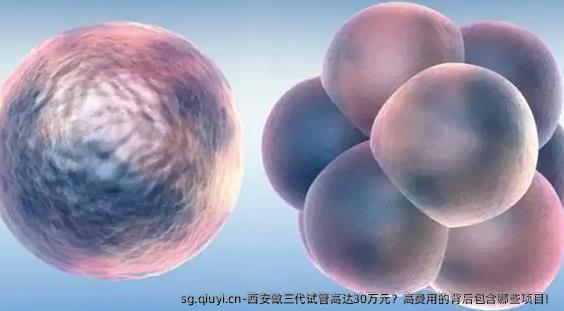 西安做三代试管高达30万元？高费用的背后包含哪些项目！
