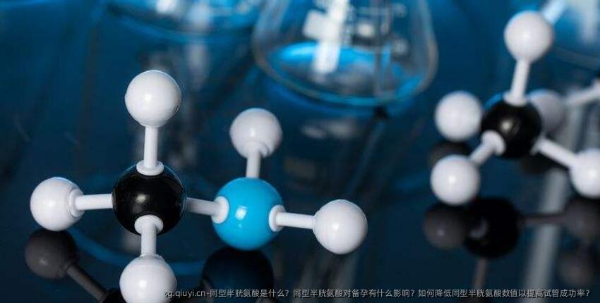 同型半胱氨酸是什么？同型半胱氨酸对备孕有什么影响？如何降低同型半胱氨酸数值以提高试管成功率？