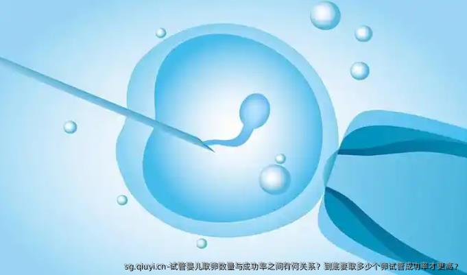 试管婴儿卵泡取出数量与成功率之间有何关系？到底要取多少个卵试管成功率才更高？